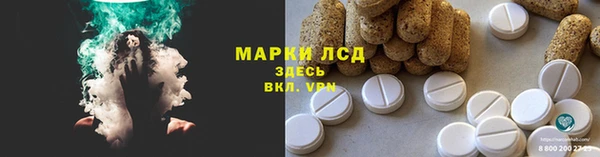 сатива Армянск