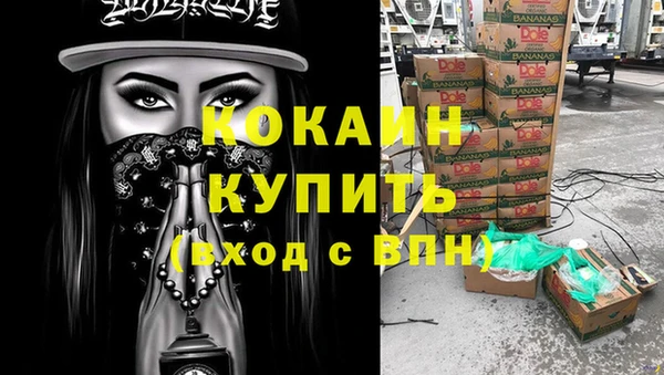 сатива Армянск