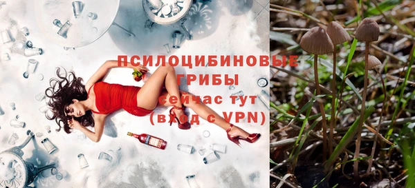 сатива Армянск