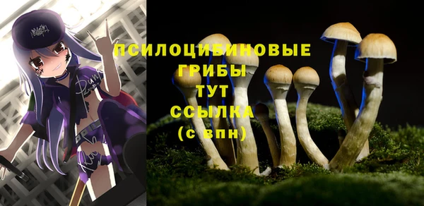 сатива Армянск
