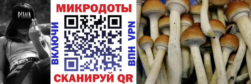Галлюциногенные грибы GOLDEN TEACHER  Бавлы 